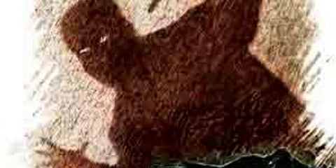 Mumbai cop rapes cab driver for refusing ride to red-light area