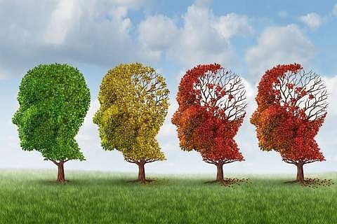 ‘Make in India’ diagnostic kits for early detection of Alzheimer’s and cancer launched