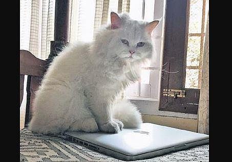 But once we got Micha, we realised she loves to travel as well.