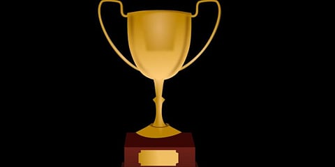 For representational purposes