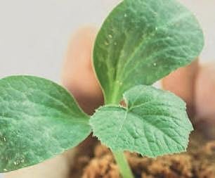 For representation purposes (Photo | EPS)