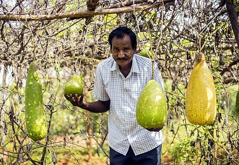 He relentlessly chased criminals, now pursues farming