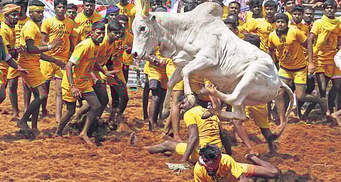 Image used for representational purpose only. (Photo | EPS)