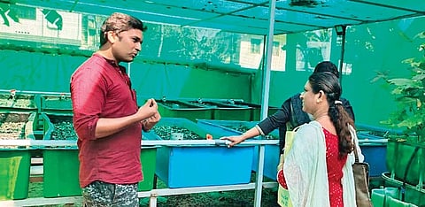 Princely Amin Dias has an aquaponics farm in three cents of land in Ernakulam