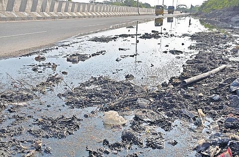 Mosquitoes breeding on the roadside in Thiruvottriyur | Martin Louis