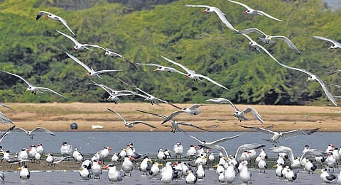 Photos: Atreyo Mukhopadhyay