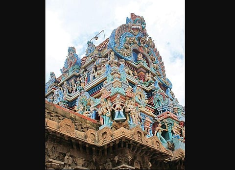 Image used for representational purposes. (Photo | Chithra Madhavan)