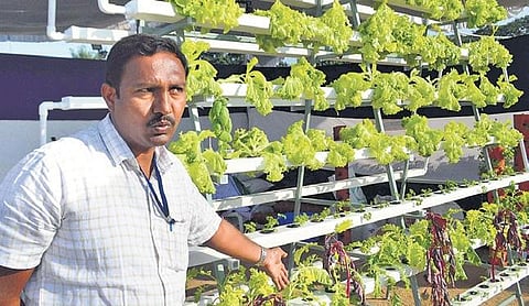 Visitors at All India Horticulture, Agriculture and Grand Nursery Mela on Necklace Road on Friday. (Photo| EPS)