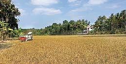 The paddy field near the Kakkatupura LP School.  (Right) Members of the Kakkatupara Nellutpadathaka  Padashekhara Samithi