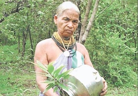 Tulasi Gouda, has been honoured with Padma Shri award | EXPRESS