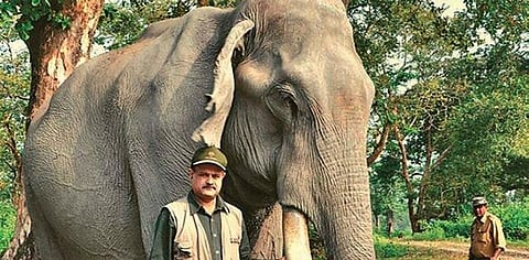 Recognition at last for unsung heroes at 71st Republic Day