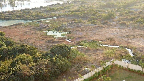 Hennagara Lake in Bengaluru.