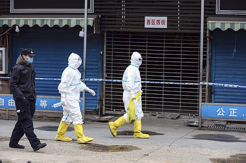 Workers in protective gear carry a bag containing a giant salamander that was reported to have escaped from the Huanan Seafood Market in Wuhan in central China's Hubei Province, Monday, Jan. 27, 2020. (Photo | AP)