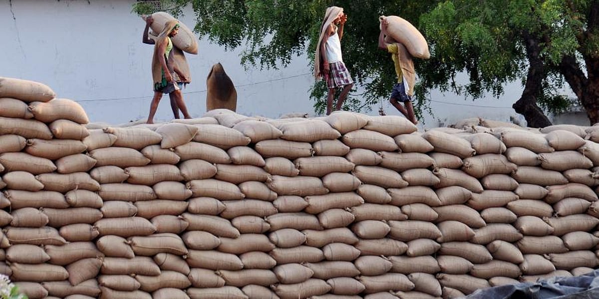 Himachal Pradesh: Rice infested with weevils, moth worms discovered at anganwadi centres