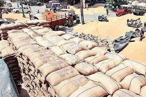 Paddy procurement