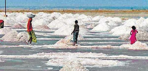 A salt farm in Ganjam district. (Photo | EPS(