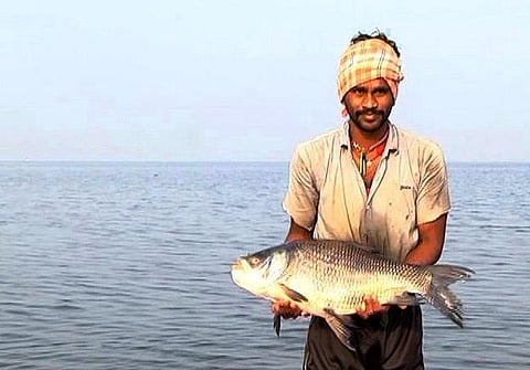 A fishermen showing Labeo catla bocha variety fish after fishing at Lower Manair dam in Karimnagar on Sunday| Express