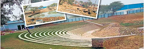 The Rajokri Lake as it used to be before; (inset) a revival effort has restored the water body to its glory days | Express