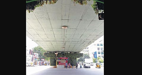 Vertical garden set up beneath G N Chetty Road flyover near T Nagar (Photo | Martin Louis, EPS)