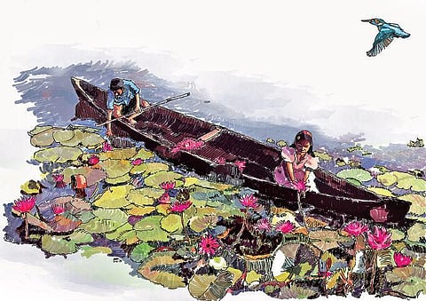 A conscious illustrator  