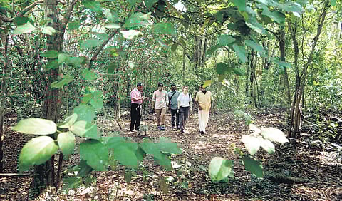 A fact-finding team from World Resources Institute and Cities for Forests visit the forested tract of land owned by HMT at Kalamassery on Monday