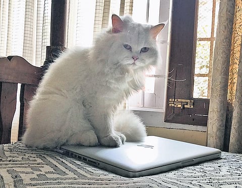 ‘She’s always there to greet me’