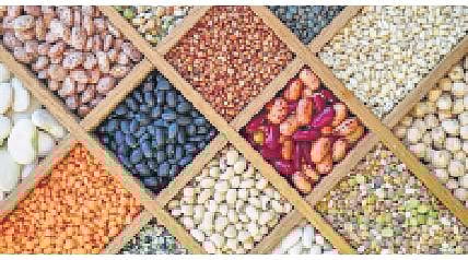 Antinutrients are nutritional, too