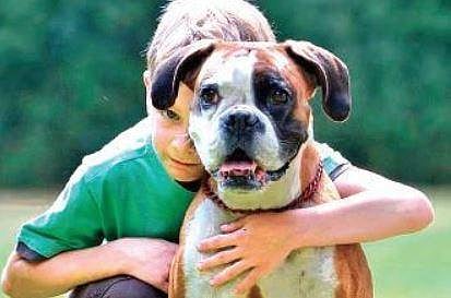 Introducing pets to children: The correct way