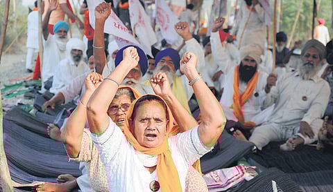 Farm stir bleeds Punjab, government in a bind