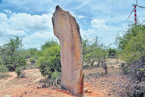 The 13-feet menhir found on a hill in Uzhakudi village of Kaliyavoor panchayat in Thoothukudi district | V KARTHIKALAGU