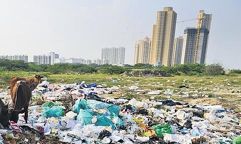 Indiscriminate dumping of municipal solid waste and discharge of untreated sewage water to Muttukadu backwaters | DEBADATTA MALLICK