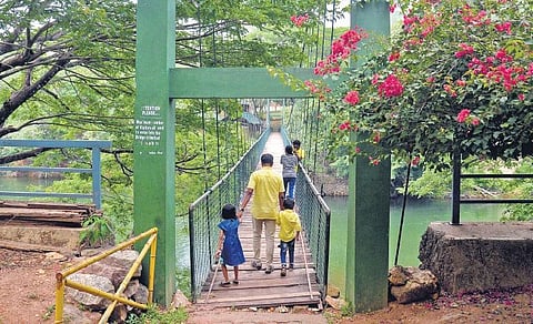 68 tourist destinations to be declared green centres tomorrow