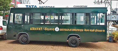 Plan to curb man-animal conflicts in Dhenkanal