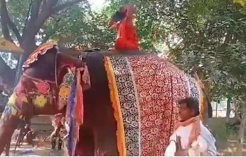 Baba Ramdev practising Yoga on an elephant. (Photo | Twitter screengrab)