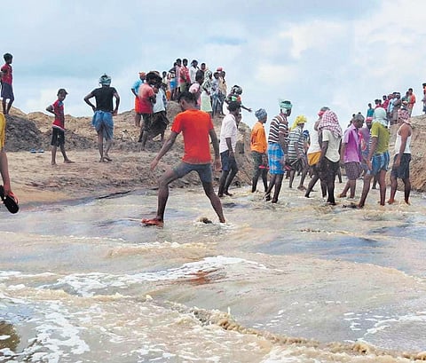 Villagers digging the mouth of Rushikulya river near Potagarh on Thursday. (Photo | EPS)