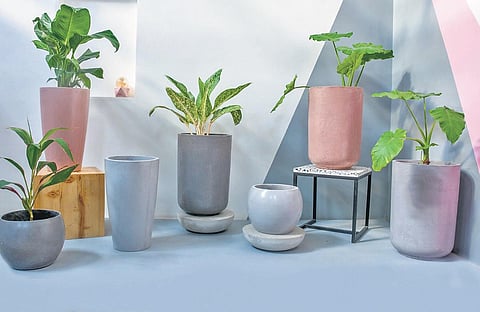 Elite Earth concrete home decor