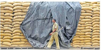 Representational Image. (Photo | EPS)