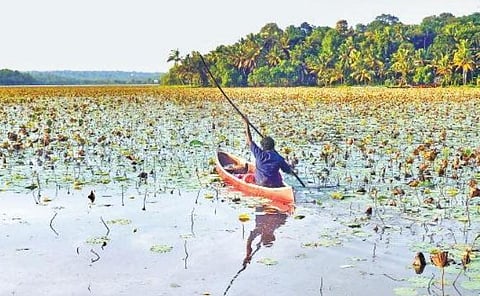 Efforts are progressing to demarcate the boundaries of Vellayani Lake, for the conservation of the freshwater lake | Vincent Pulickal