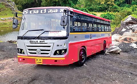 Don’t miss the ‘mini bus’