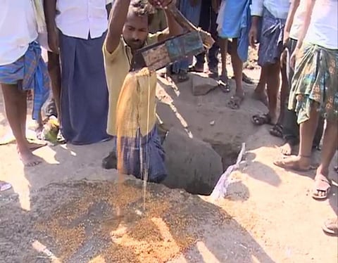 Villagers dug out grains stored in stockyard after they were found decayed in Timmapur village of Gadag taluk. (Photo | EPS)