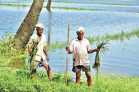 Image used for representational purposes only