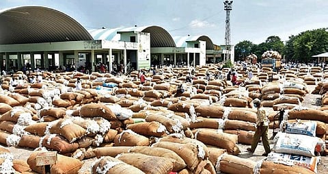 Cotton farmers from erstwhile Warangal district and Khammam have started arriving at the Enumamula agriculture market. (Photo| EPS)