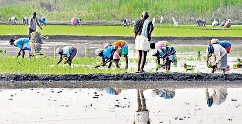 Representational image (File photo| EPS)