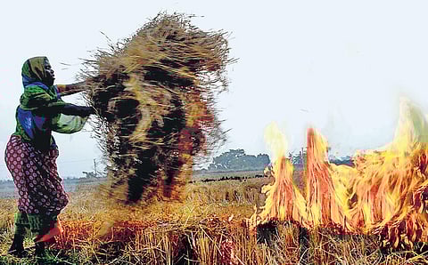 The share of stubble burning in the national capital’s PM2.5 concentration was 16 per cent on October 26.