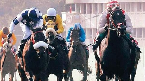 A race in progress at the Bangalore Turf Club.