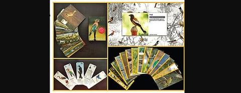 Early Bird materials; art activities by webinar participants