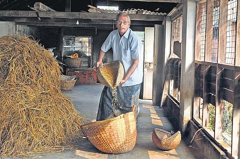 Pokkali farmers of Kochi’s islets faced two devils this season — inconsistent monsoon and a pandemic.
