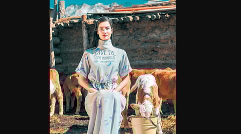 The fabric patterns originate from light microscope and scanning electron microscope images of aaruul and eezgii (dried curd and dried curdled cheese) produced in Mongolia.