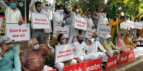 Farmers and activists protesting the new agri laws. (Photo| Yogendra Yadav Twitter)