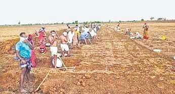 Domestic workers demand Covid relief, stage protest